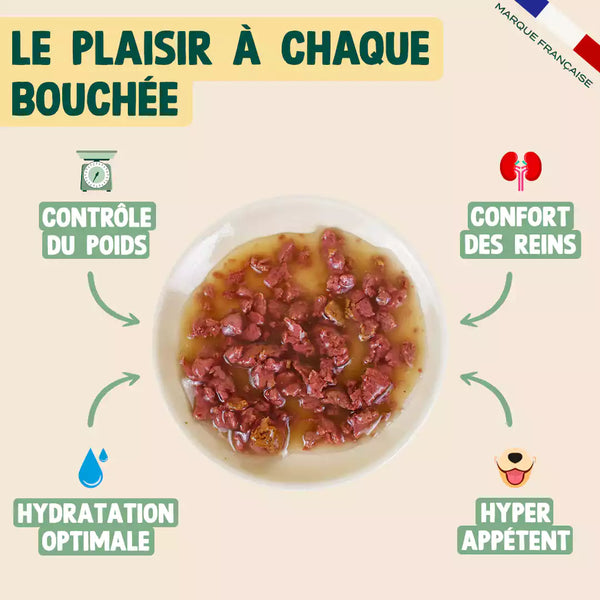 lapin-poulet-myrtille