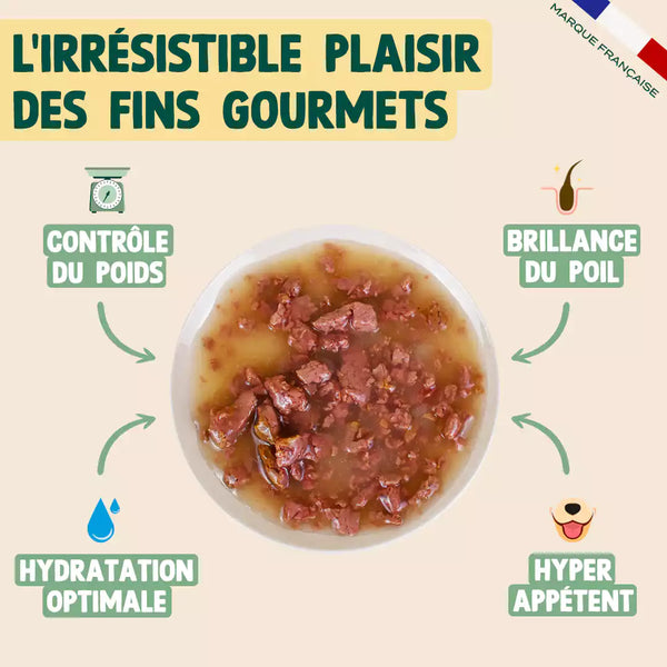 saumon-poulet-carotte