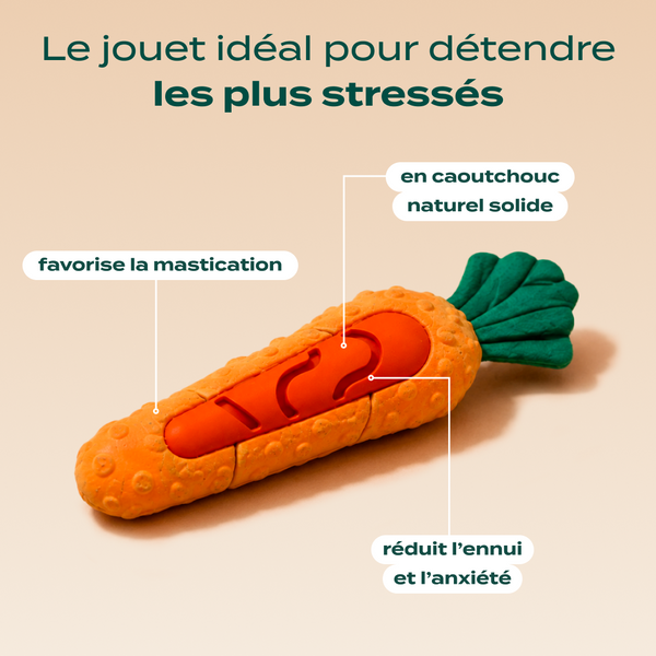 pack-decouverte-anti-stress-chien