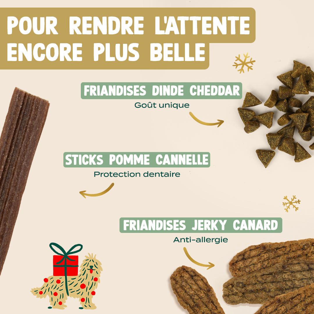 CALENDRIER DE L'AVENT CHIEN