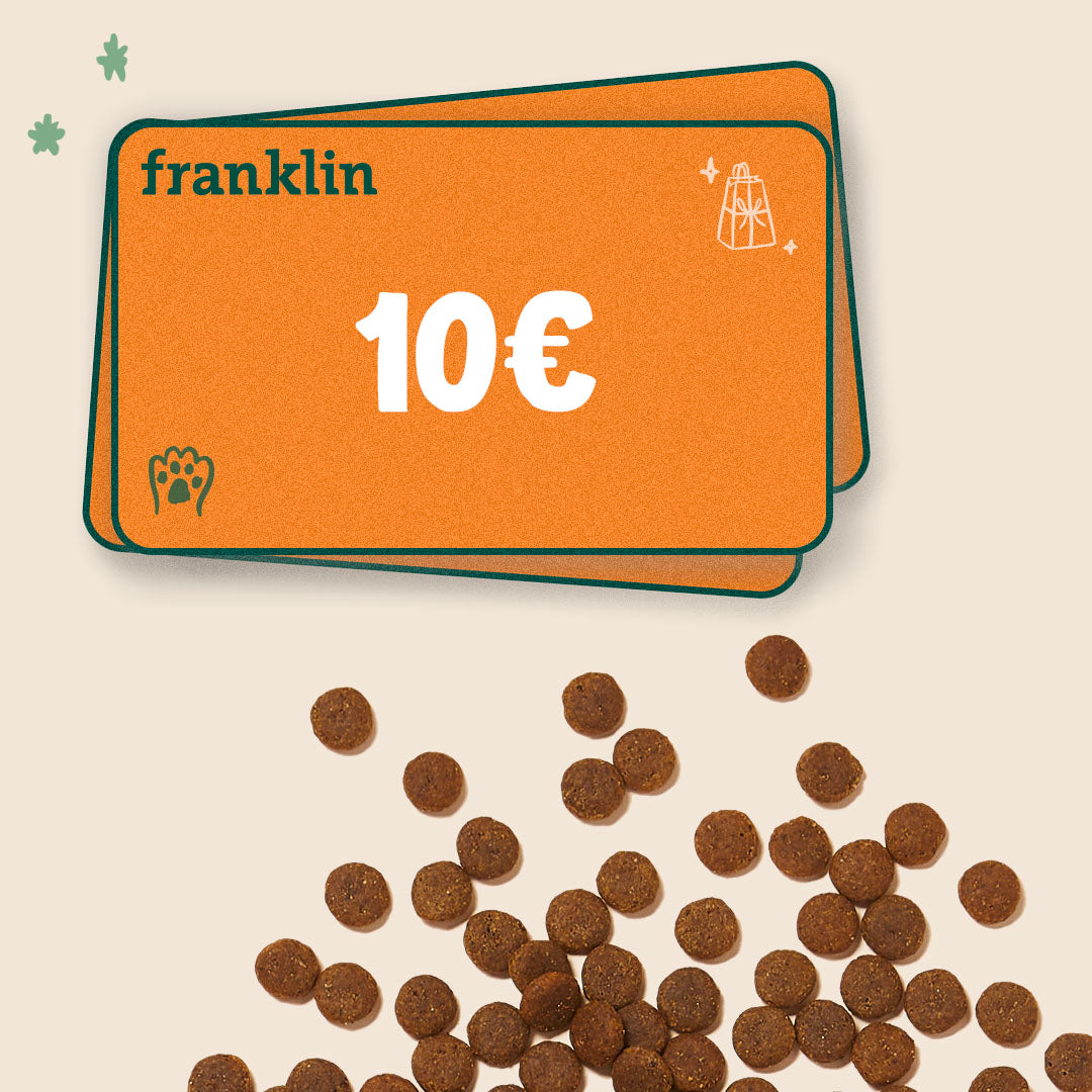 La carte cadeau Franklin 10€