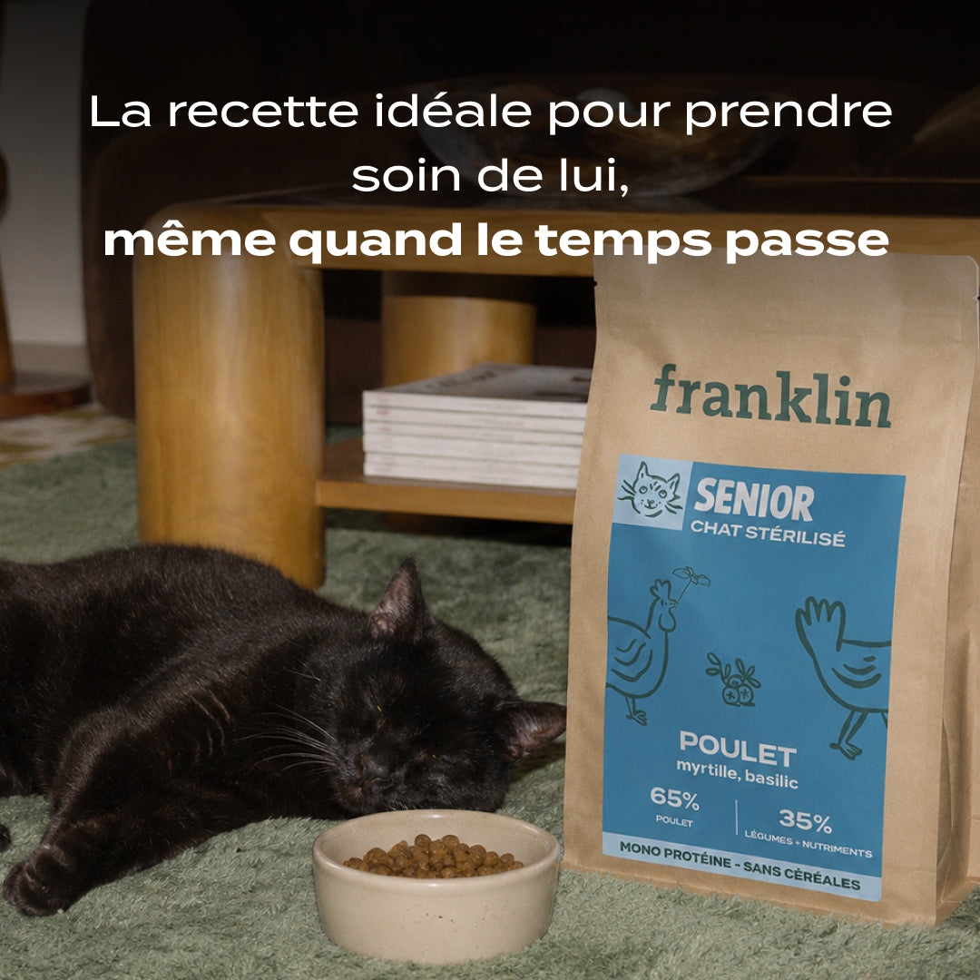 POULET, MYRTILLE, BASILIC