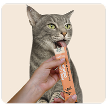 À lécher directement au tube