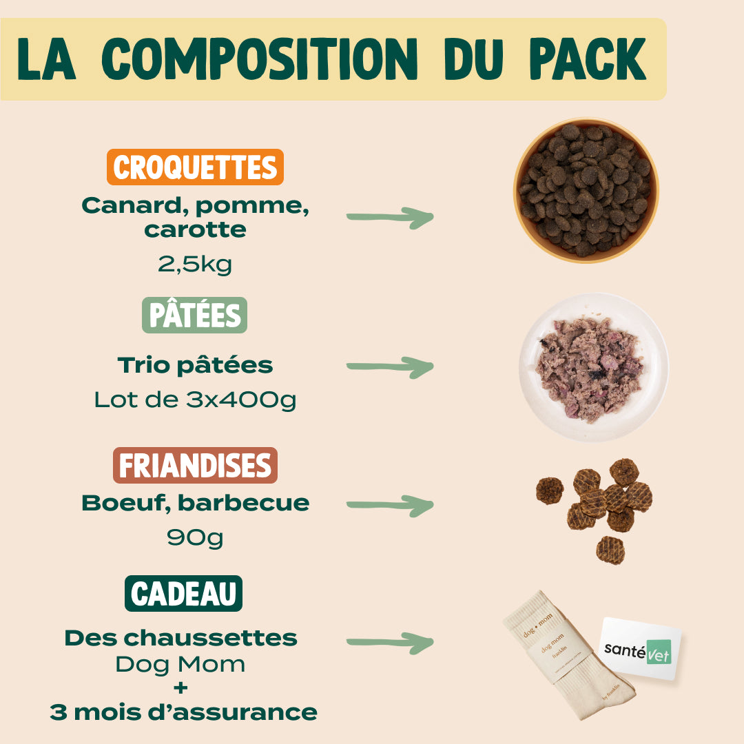 PACK DÉCOUVERTE CHIEN