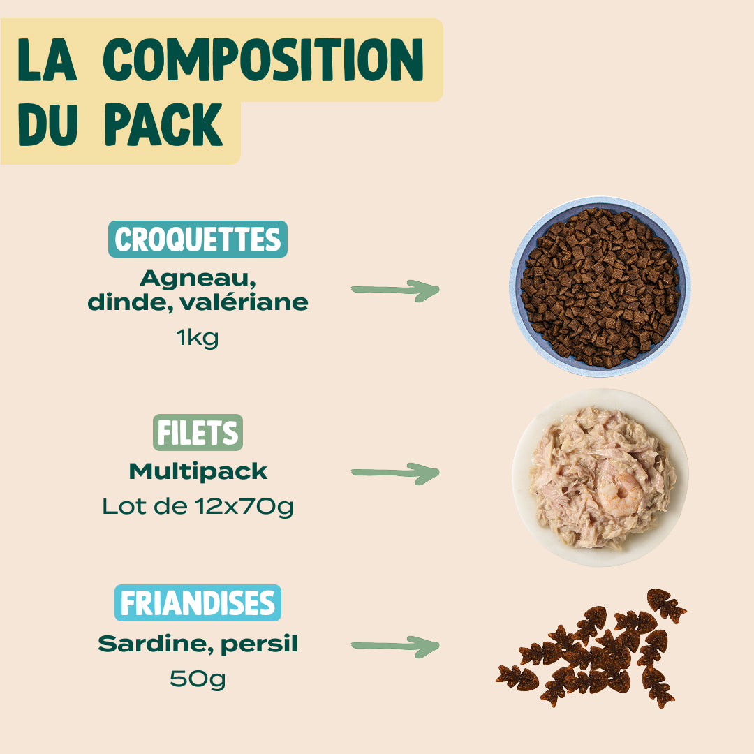 PACK DIGESTION CHAT