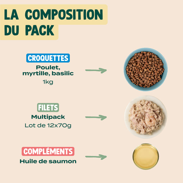 pack-chat-senior