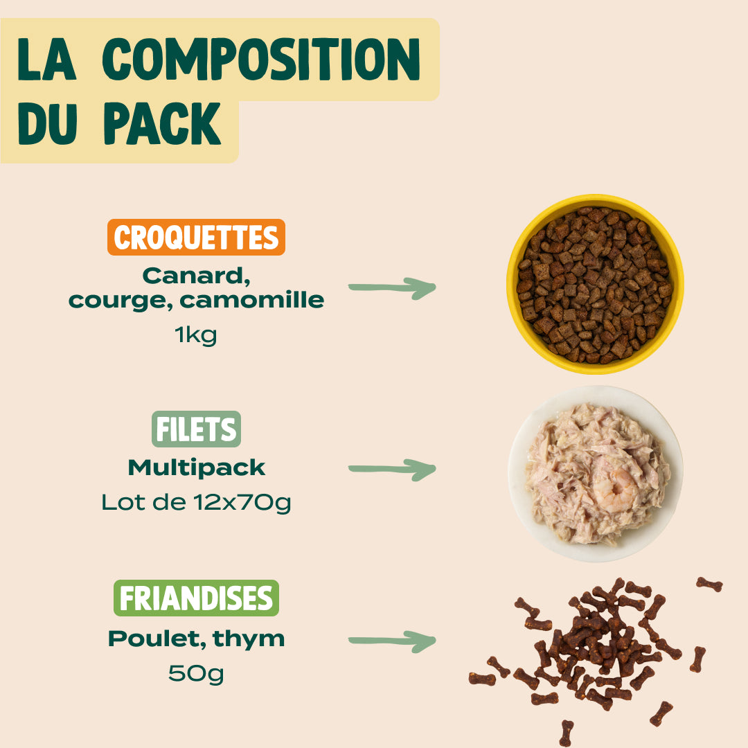 PACK TROUBLES URINAIRES POUR CHAT