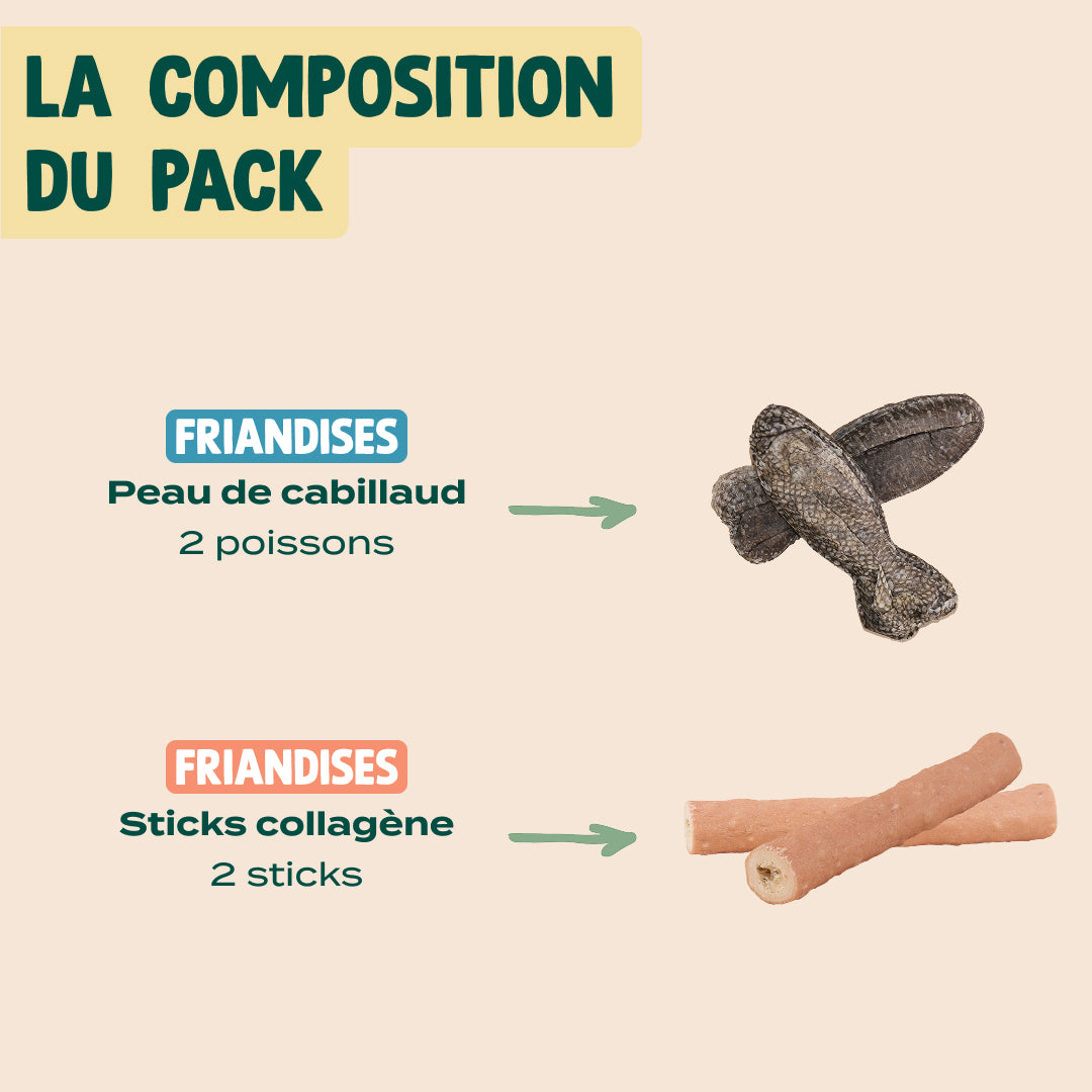 PACK DÉCOUVERTE STICKS COLLAGÈNE