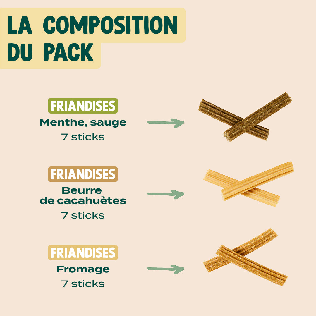 TRIO STICKS DENTAIRES