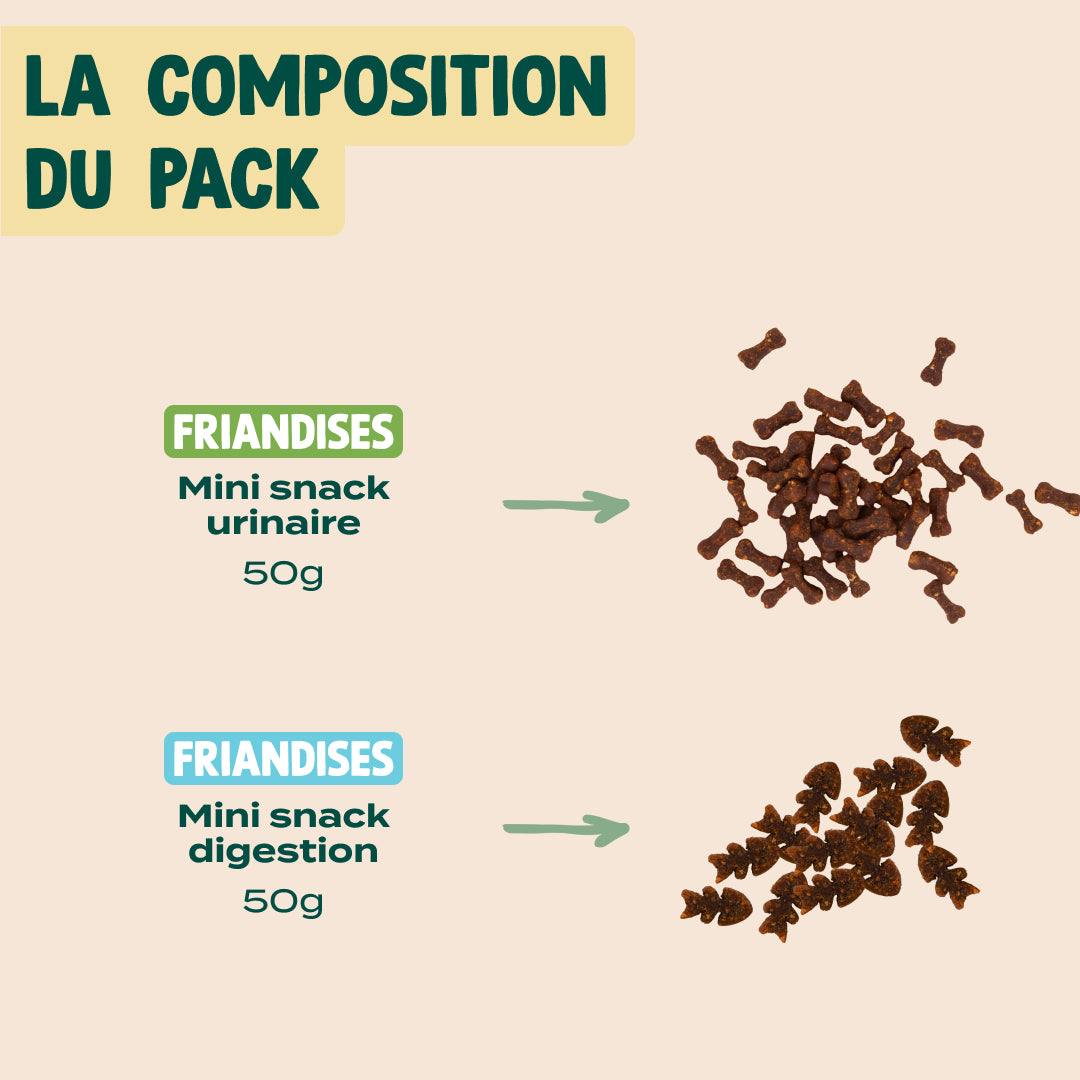 PACK DÉCOUVERTE MINI SNACK