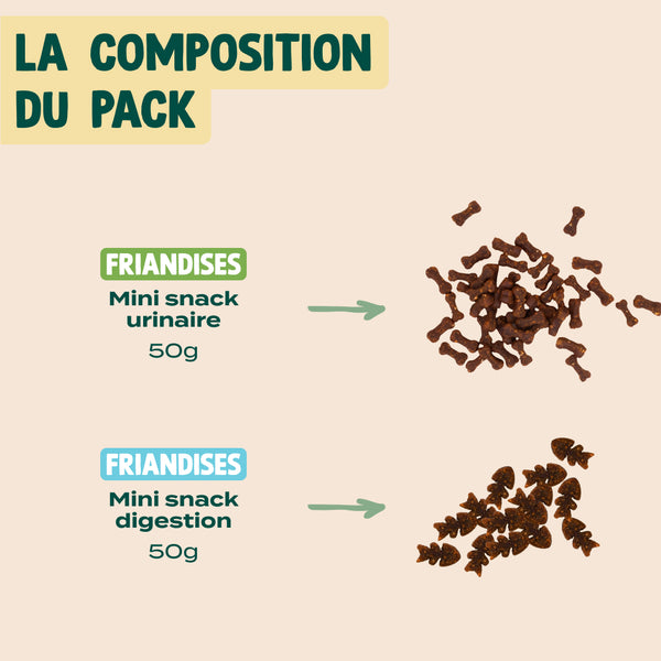 pack-decouverte-mini-snack