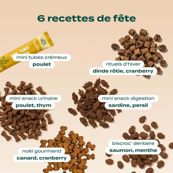 calendrier-de-l-39-avent