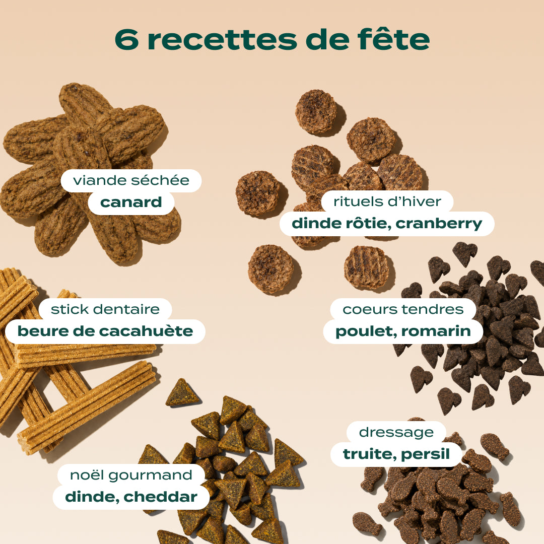 CALENDRIER DE L'AVENT CHIEN