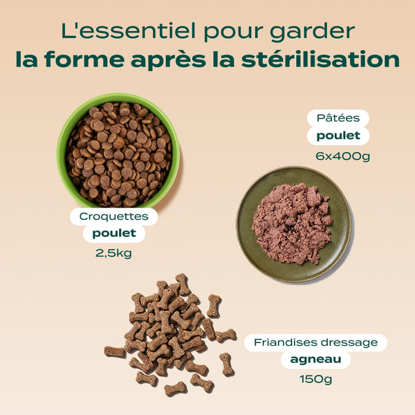 pack-chien-sterilise