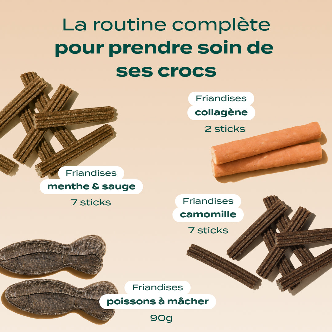 PACK STICKS DENTAIRES
