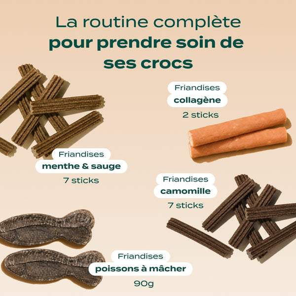 pack-sticks-dentaires