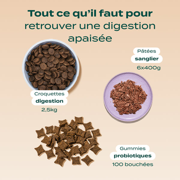 pack-digestion-chien