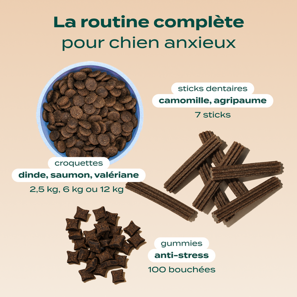 pack-anti-stress-chien
