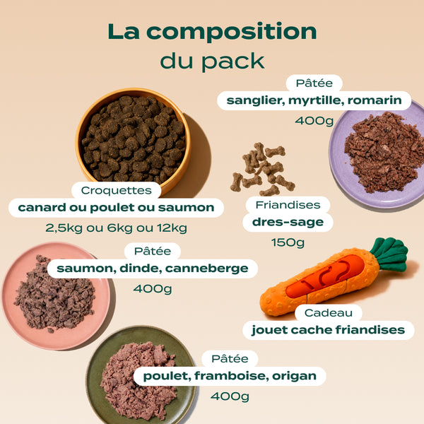 pack-decouverte-chien
