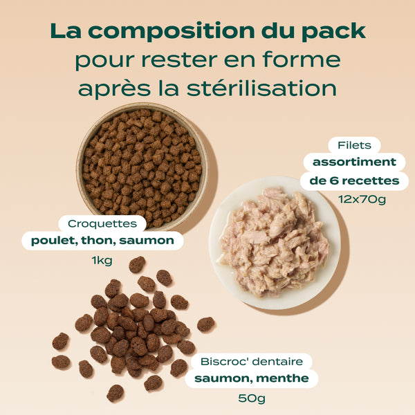 pack-chat-sterilise
