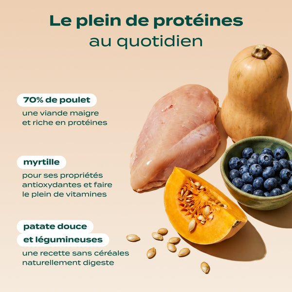 poulet-courge-myrtille