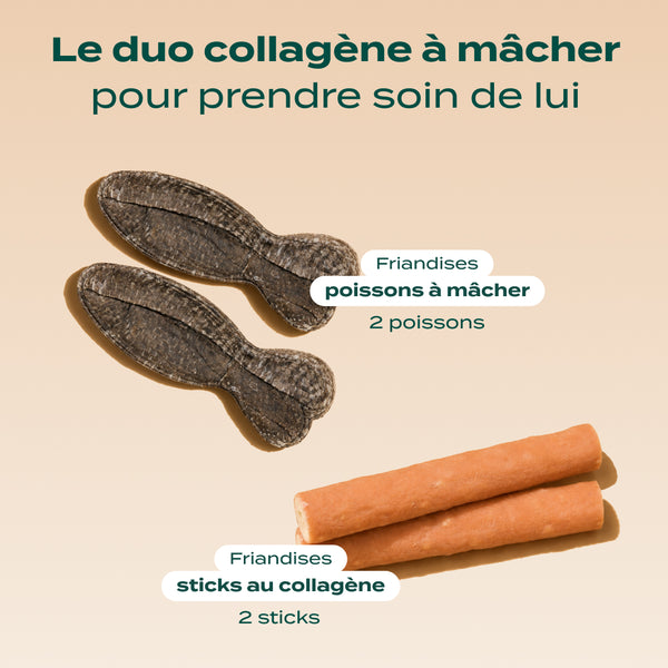 duo-100-collagene