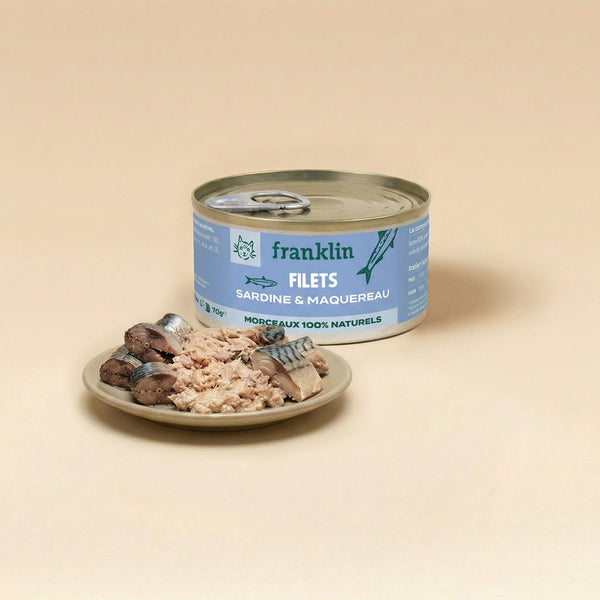 SARDINE & MAQUEREAU