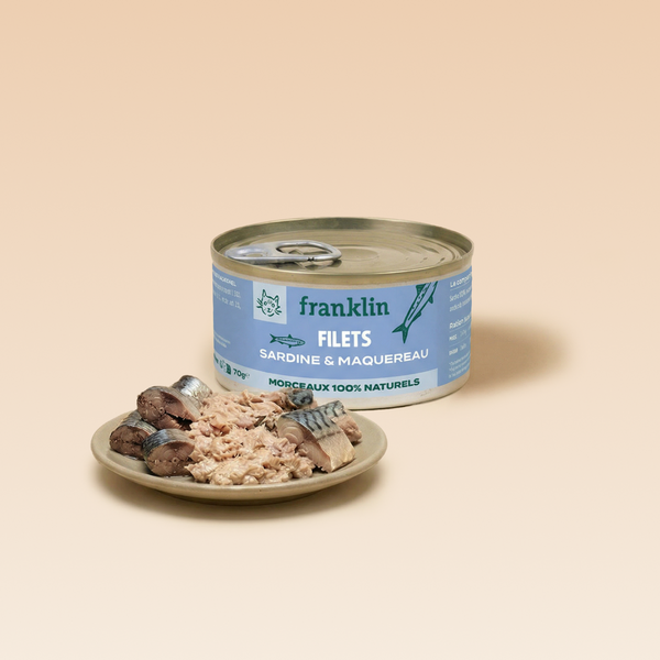 SARDINE & MAQUEREAU