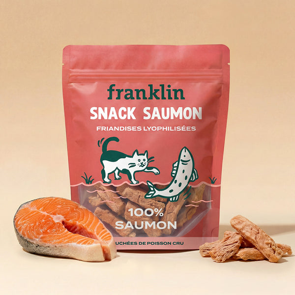 SNACK SAUMON