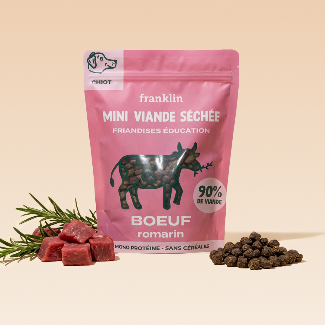 Mini viande séchée boeuf