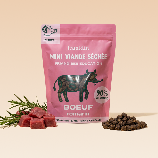 mini-viande-sechee-boeuf