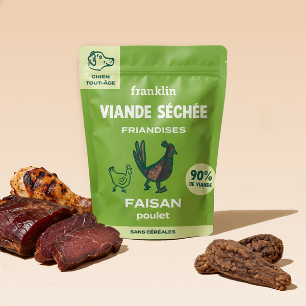 FAISAN SÉCHÉ