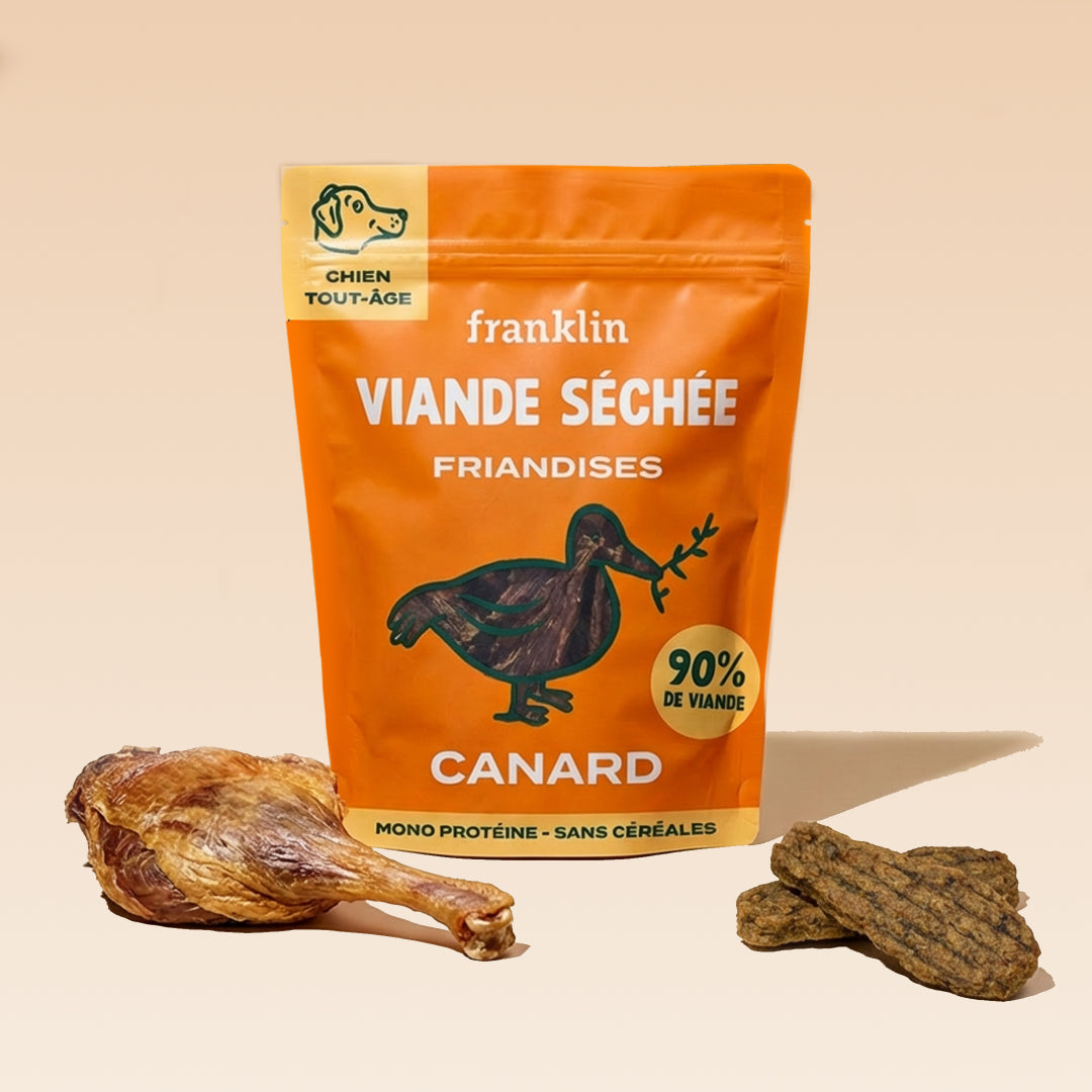 CANARD SÉCHÉ