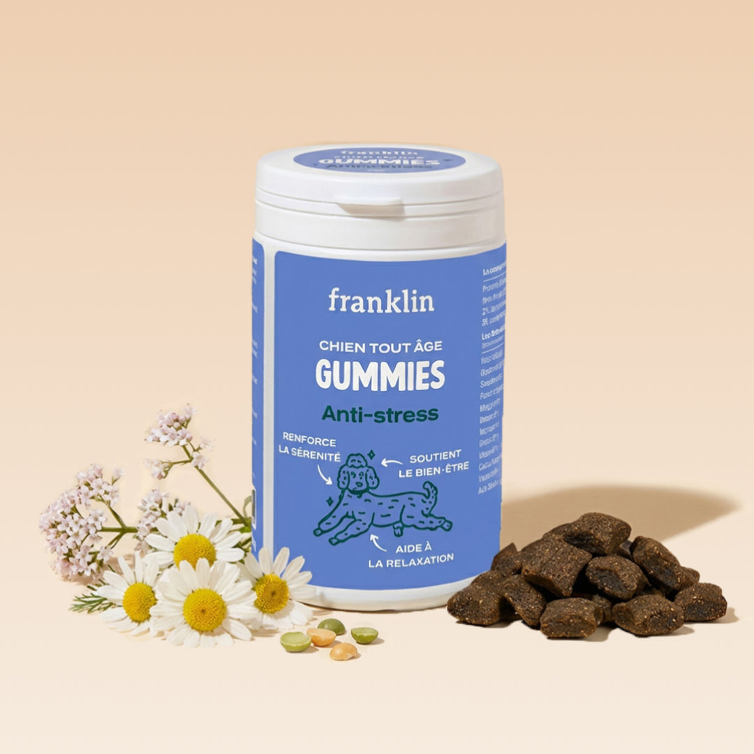 GUMMIES ANTI-STRESS