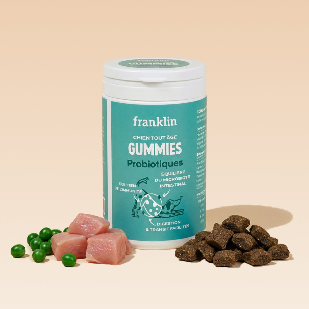 GUMMIES PROBIOTIQUES