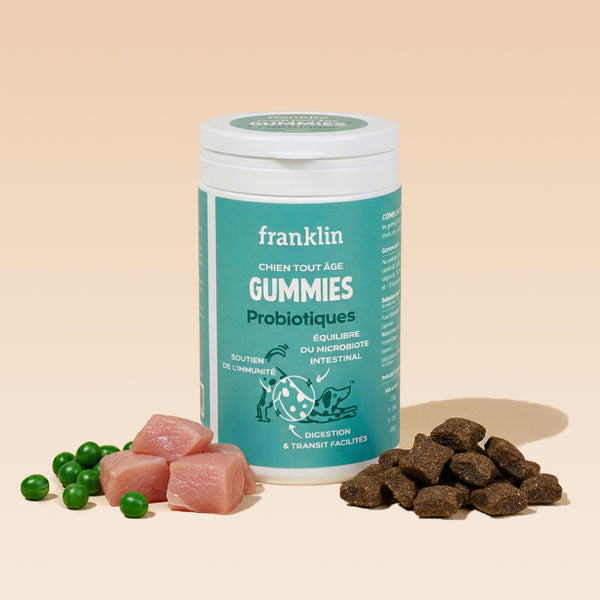 GUMMIES PROBIOTIQUES