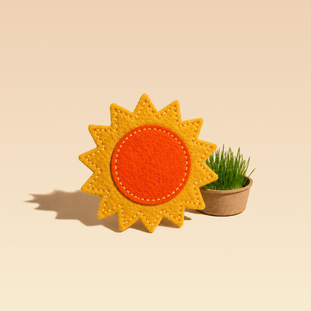 Tournesol herbe à chat