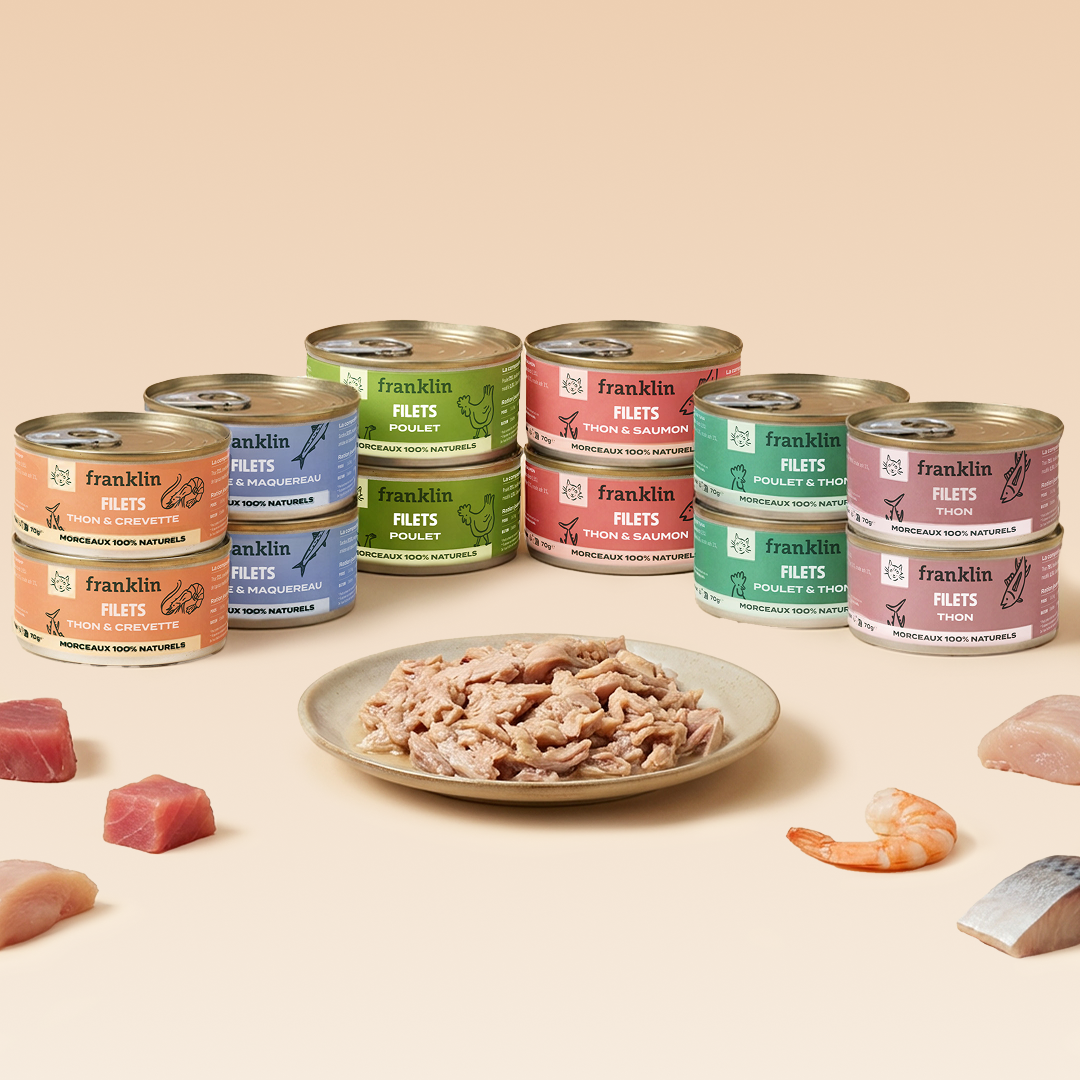 MULTIPACK FILETS 6 SAVEURS