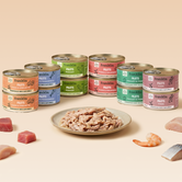 MULTIPACK FILETS 6 SAVEURS