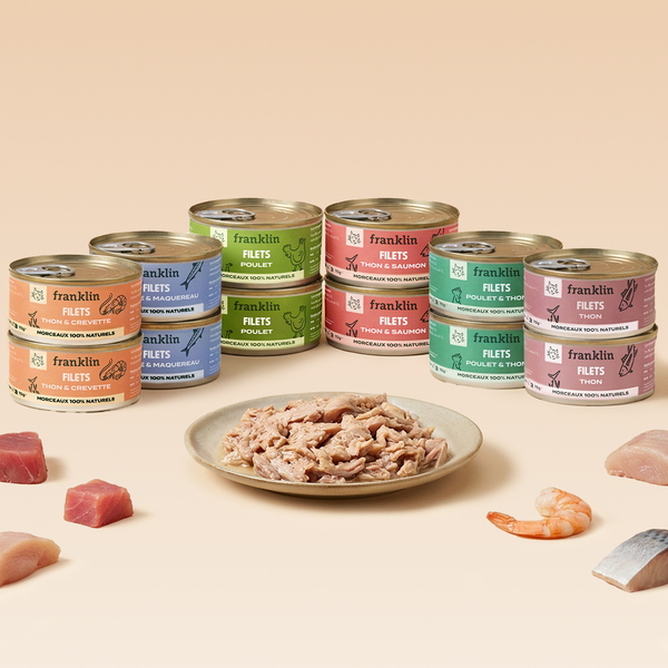 MULTIPACK FILETS 6 SAVEURS