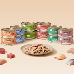 MULTIPACK FILETS 6 SAVEURS
