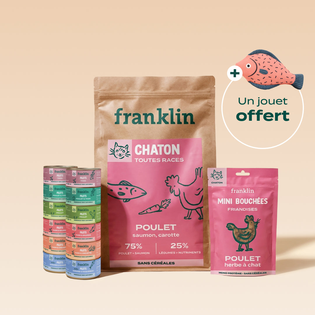 PACK DÉCOUVERTE CHATON