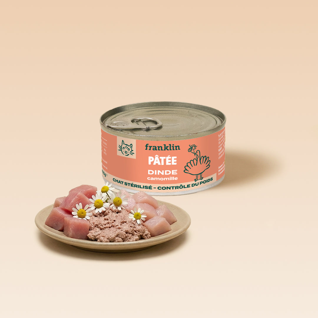 DINDE, CAMOMILLE