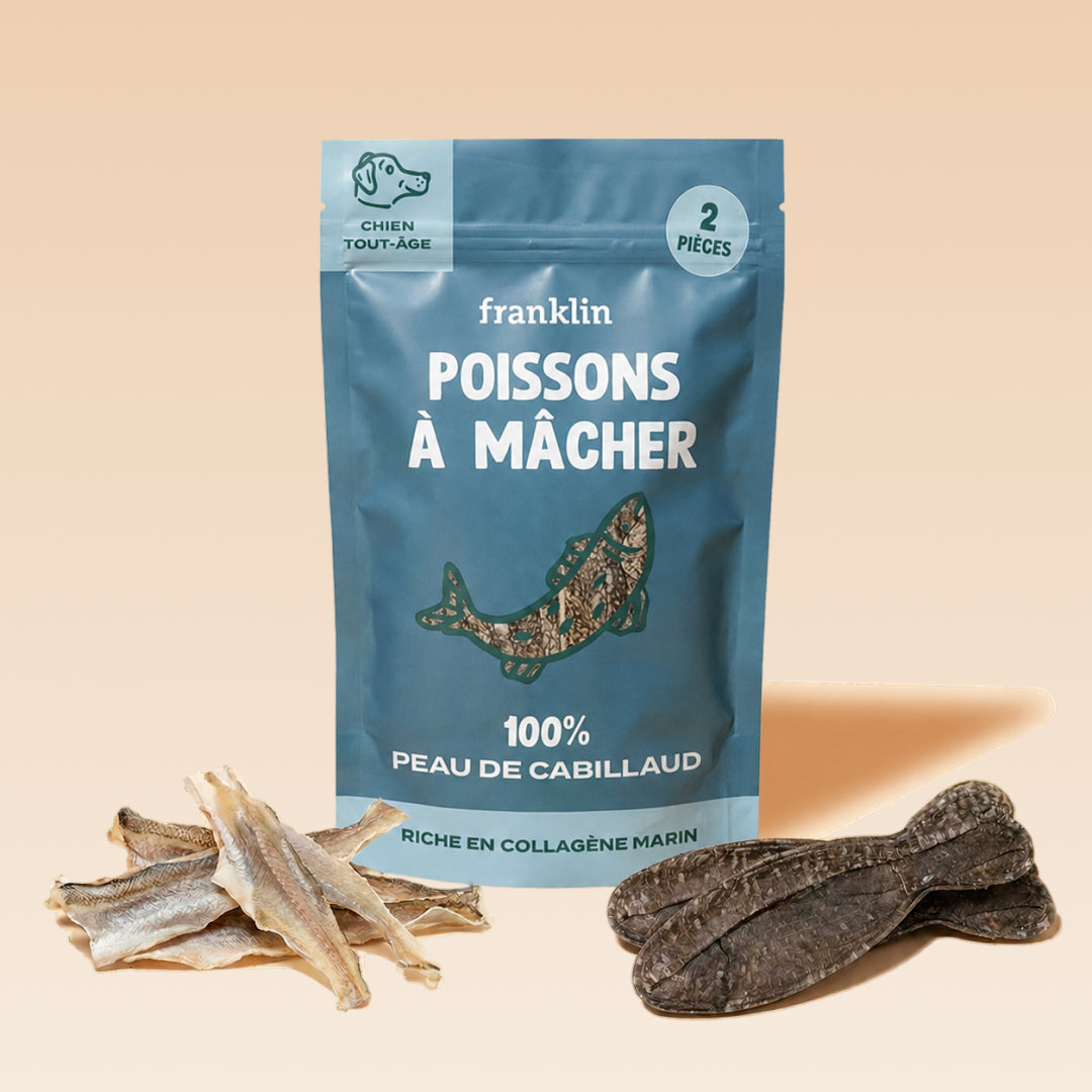 POISSONS À MÂCHER