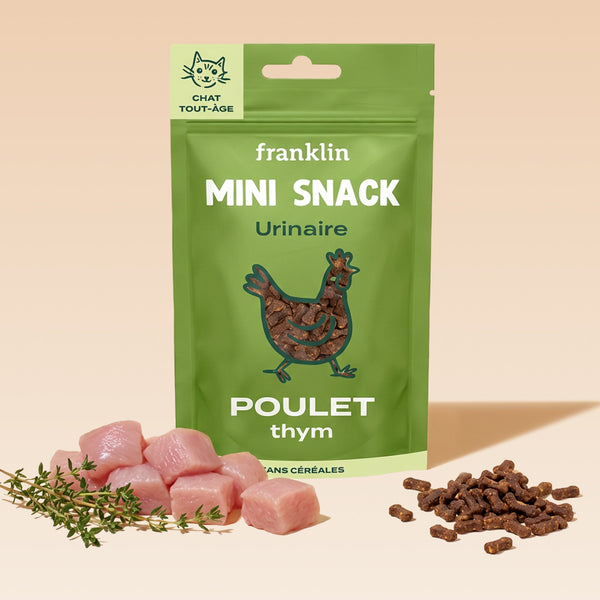 mini-snack-urinaire