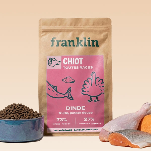 DINDE, TRUITE, PATATE DOUCE