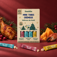 MULTIPACK MINI TUBES DÉLICES DE NOËL