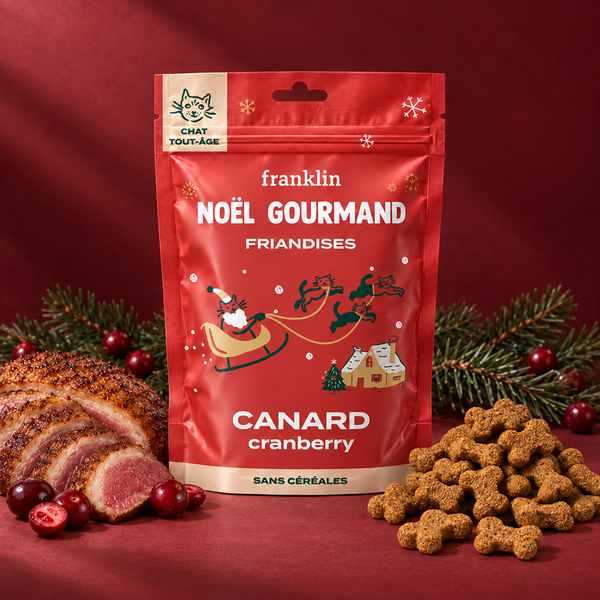 noel-gourmand-canard-cranberry