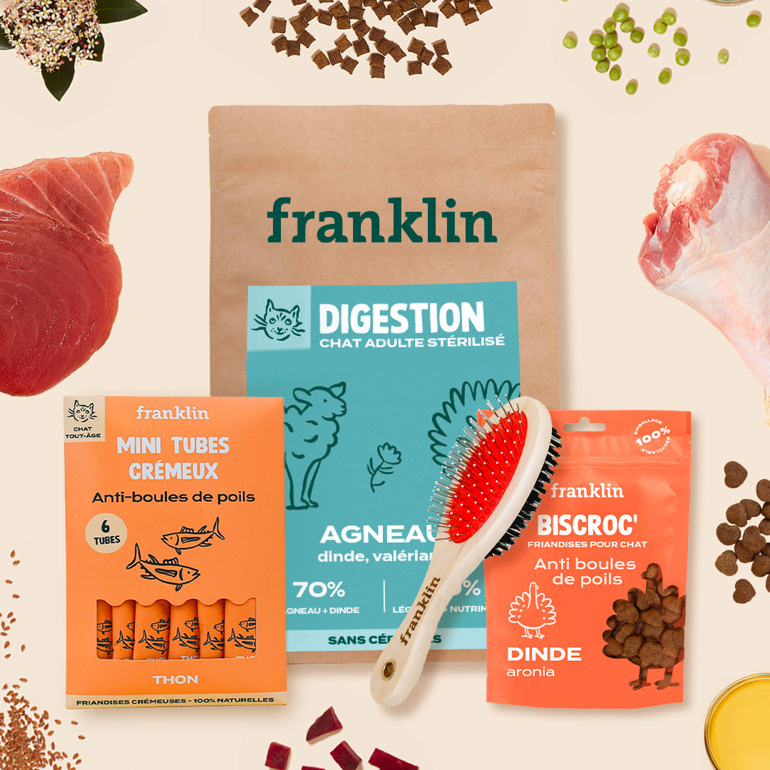 PACK ANTI-BOULES DE POILS POUR CHAT