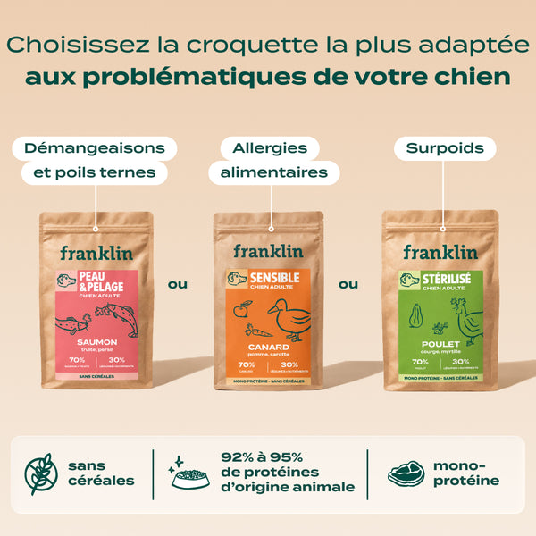 pack-decouverte-chien